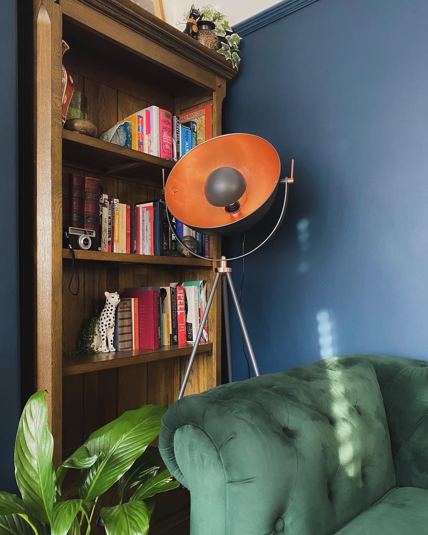 A cosy reading corner-living room-deep green velvet Chesterfield style sofa-navy blue wall-tall wooden bookcase-colourful books-vintage camera-small potted plants-industrial style tripod floor lamp