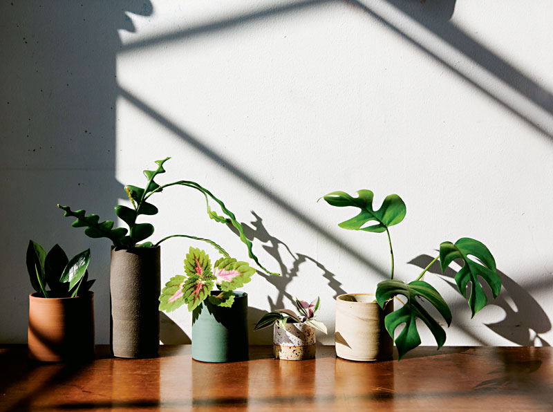Extracted from Root, Nurture, Grow by Caro Langton and Rose Ray of Ro Co (Quadrille, £18) Photography © Erika Raxworthy