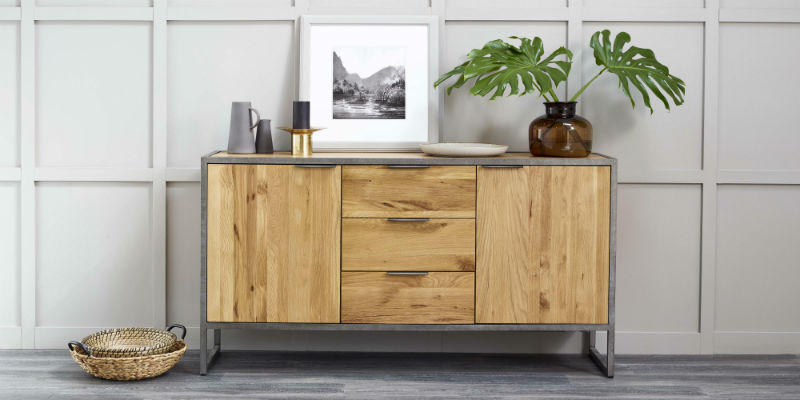 Industrial Style large sideboard with a frame and house plant on top