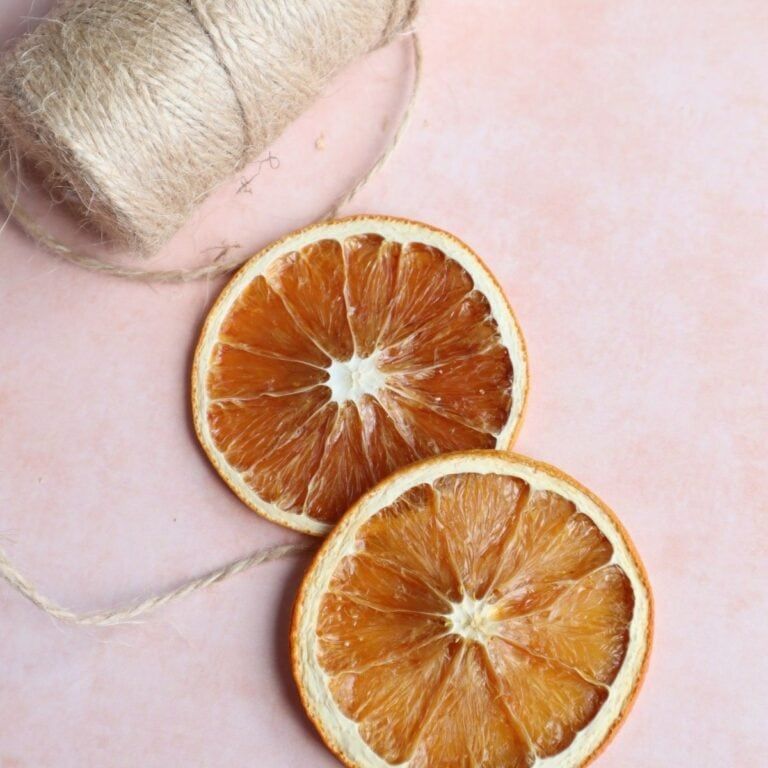 Christmas - Orange slices