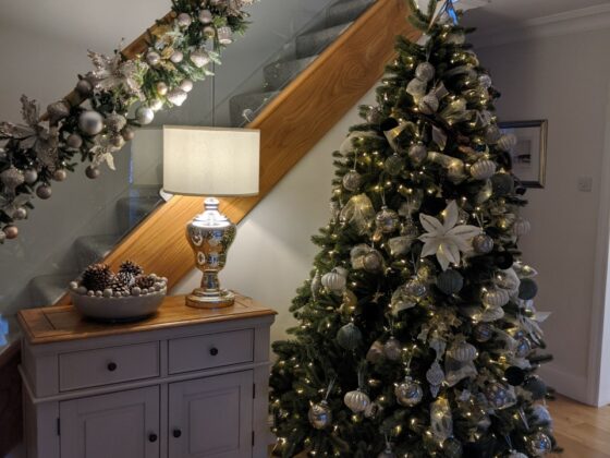 Mrs Roobottom Christmas