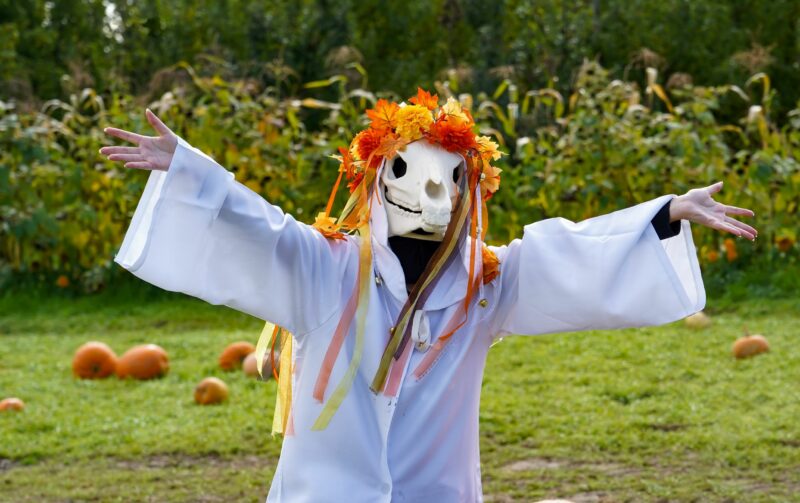 Mari Lwyd Welsh Christmas tradition - Oak Furnitureland Blog
