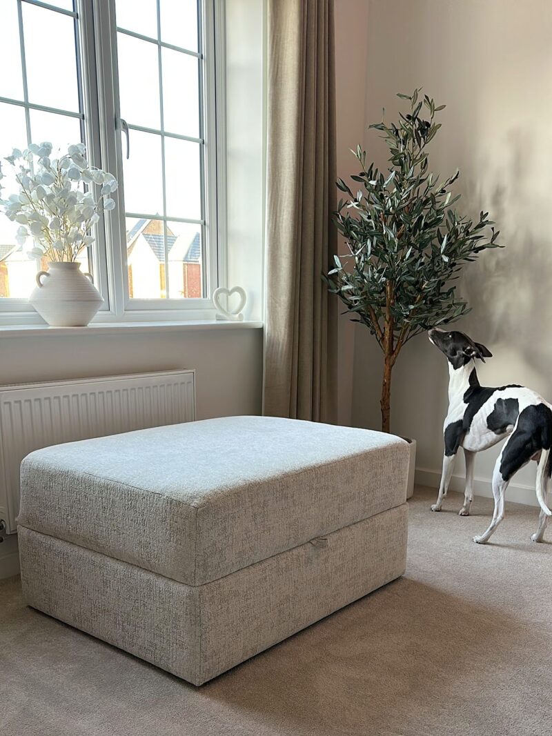 A footstool-living room furniture-beige storage footstool-beige carpet-beige walls-brown curtains-large window-cream ceramic vase with flowers-potted house plant-grey and white dog-radiator