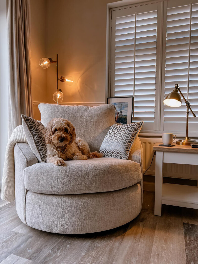 An armchair-living room furniture-beige swivel armchair-scatter cushions-table lamp-small dog-floor standing lamp-shutters